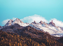 开云：引领时尚奢华新风潮